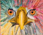 eagle Eagle Eyes