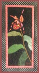 orchid Orchid Quilt