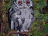 Black Owl 