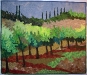 Tuscan Olive Grove 