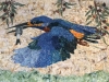 1-King Fisher quilt