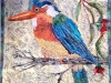 1-kingfisher_0