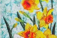 AQG-Daffodils