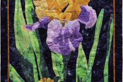 AQG-iris