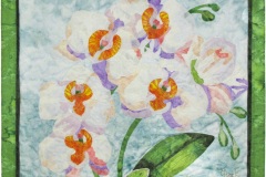 AQG-moon-orchids