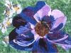 anemone hoffman quilt copy