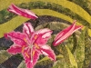 stargazer-lilly-quilt1